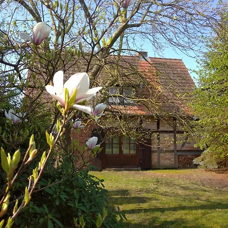 Suesses Haus Am Haff بيت للعطل